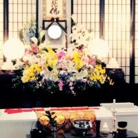 onga_K_151213