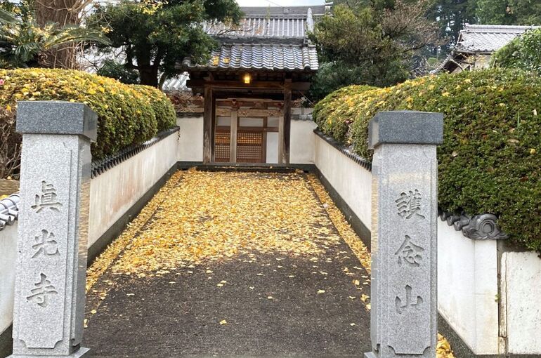 真光寺