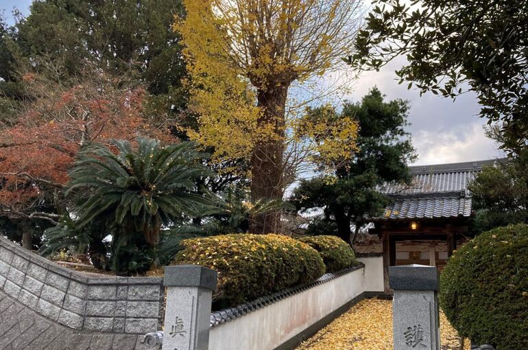 真光寺2