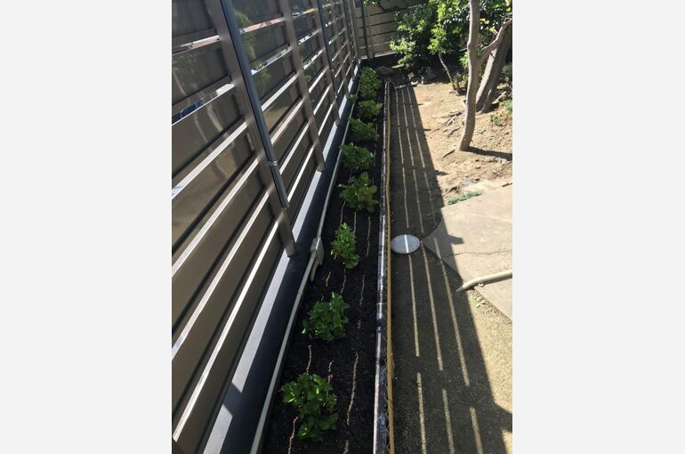 aji-600x800